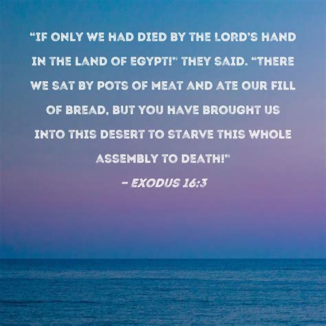 Exodus 163 If Only We Had Died By The Lords Hand In The Land Of