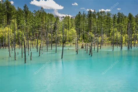 Blue Pond Aoiike Biei Hokkaido Prefecture Japan — Stock Photo