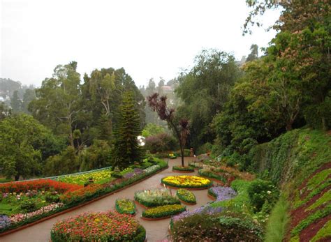 Travel India Ooty Botanical Garden In Ooty