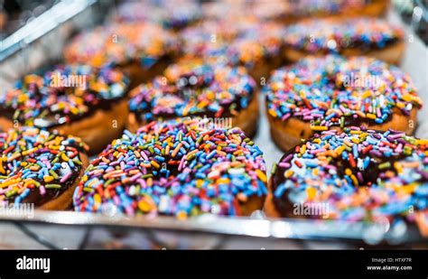 Chocolate Iced Donuts With Rainbow Sprinkles Stock Photo Alamy