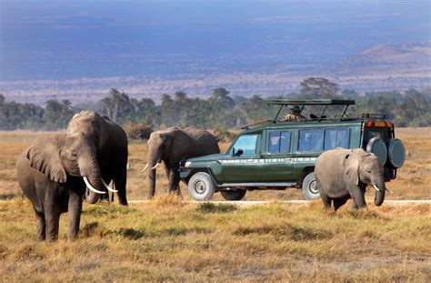 What To Expect On A Kenyan Safari Travel Moments In Time Travel