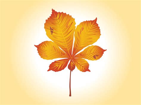 Autumn Leaf Vector Graphics Vector Art And Graphics