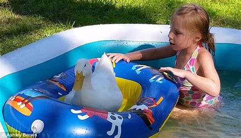 Five Year Old Girl From Maine Forms Unbreakable Bond With Pet Duck
