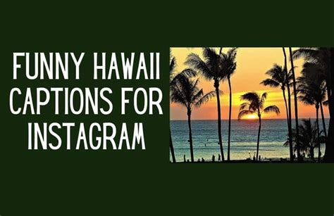 50 Awesome And Unique Hawaii Captions For Instagram Kids N Clicks