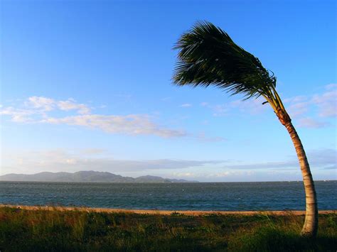 Windy Day Free Photo Download Freeimages