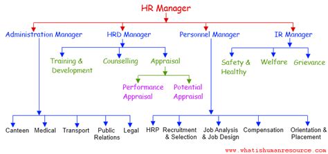 Peran HR Manager dalam Struktur Gaji di PT Sutrakabel Intimandiri