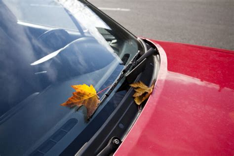 5 Ultimate Fall Car Care Tips Prepare Your Car Topic Power