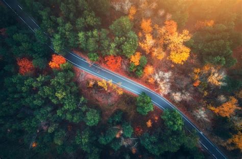 Premium Photo Aerial View Of Road In Beautiful Autumn Forest At Sunset