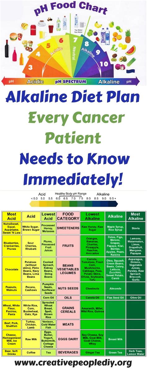 alkaline diet plan that every cancer patient needs to know immediately …