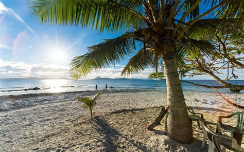Nature Landscape Palm Trees Beach Sand Sea Sunlight Summer
