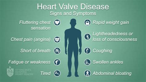 Signs Of Heart Valve Problems Colororient