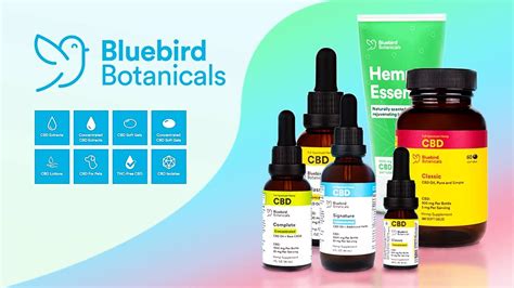 Bluebird Botanicals Cbd Products Reviews 2022 Update