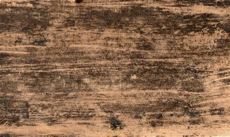 Aesthetic Wood Texture