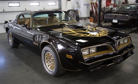 Trans am trans am refuse to rely on their legacy as innovators, opting instead to continue to break down established modes of songwriting, even if they established those modes themselves. TRANS AM SPECIALTIES OF FLORIDA (con imágenes) | Coches ...