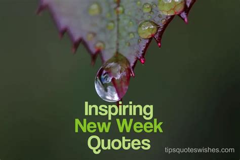 110 Inspirational Quotes To Start The Week Monday Quotes For Success