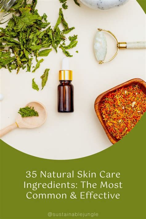 37 Natural Skin Care Ingredients The Most Common And Effective