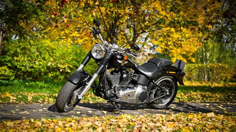 Top 148 Harley Davidson Bike Wallpaper Download Thejungledrummer Com