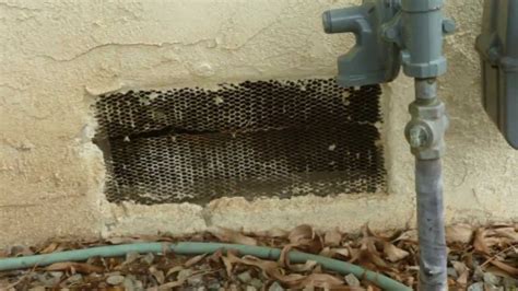 Replace Foundation Vent Screens With Correct Materials Home