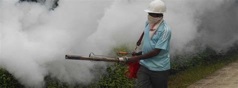 Largest pest management with a. Bed Bug Treatment Service in Kolkata | Jupiter Pest Control
