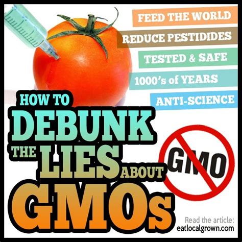 Debunking The Gmo Talking Points With Ease Gmo Free Food Gmo Gmo Foods