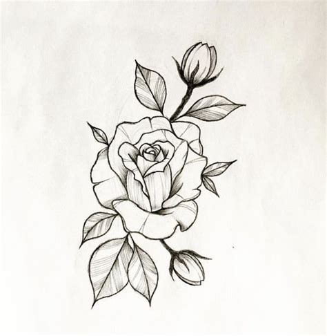 Pin Em Flowers Drawing