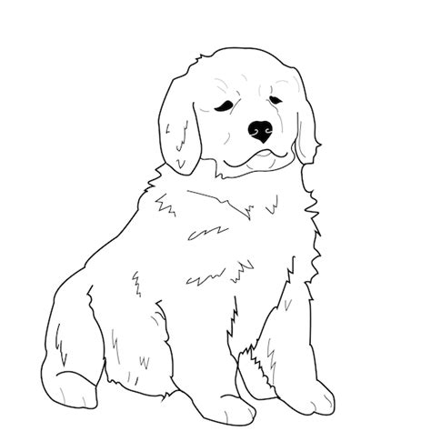 Golden Retriever Dog Coloring Page