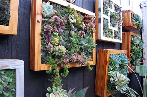Pour in soil pressing firmly and filling all the gaps. DIY Green living Wall projects you could try your hand at ...