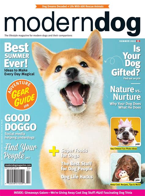 Modern Dog Summer 2022 By Modern Dog Magazine Issuu