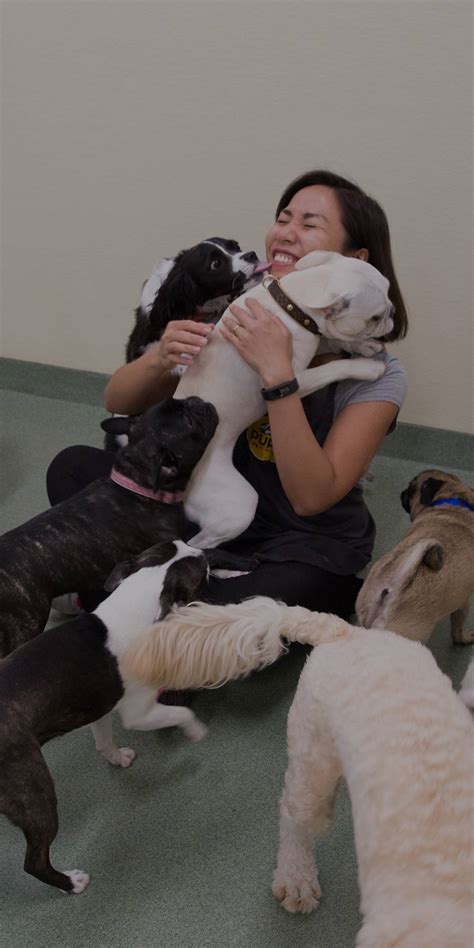 Pups pet club has by far the best training program for dogs of all ages. Join Our Team - PUPS Pet Club