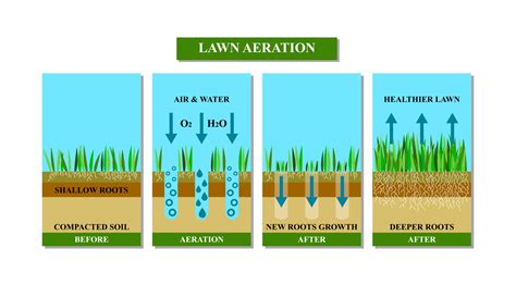 Spring Aeration How To Get The Most Out Of Your Lawn