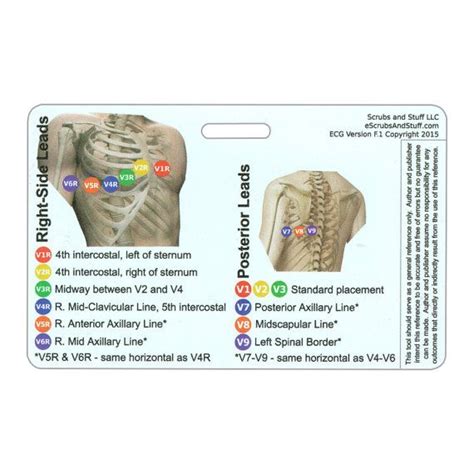 This section describes the basic components of the ecg and the lead system used to record the ecg tracings. EKG 12 Lead Placement Horizontal Badge Card | Ekg ...