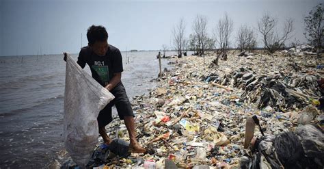 Plastik Bekas Kemasan Makanan Termasuk Jenis Sampah Angela Henderson