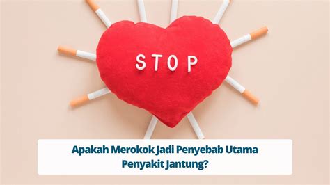 Apakah Merokok Penyebab Utama Sakit Jantung Primaya Hospital