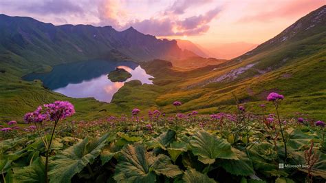 Wallpaper Flower Cloud Sky Water Ecoregion Green Natural