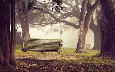 Bench Hd Wallpaper Background Image 2560x1600