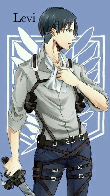 Pin by Alexander Jerome on Animes | Attack on titan levi, Attack on