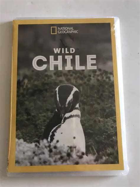 Brand New Dvd Wild Chile Ac 3dolby Digital Dolby Widescreen Ntsc