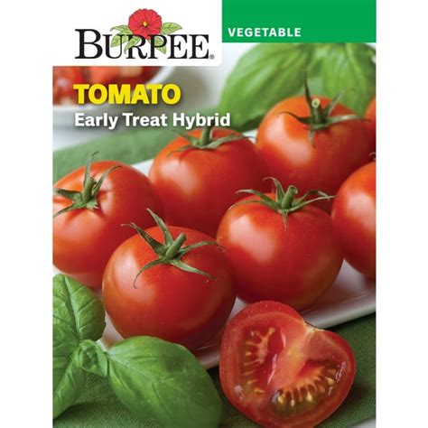 Burpee Early Treat Hybrid Tomato Vegetable Seed 1 Pack