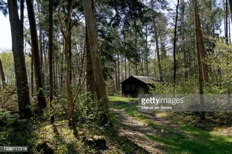 Shack In The Woods Photos And Premium High Res Pictures Getty Images