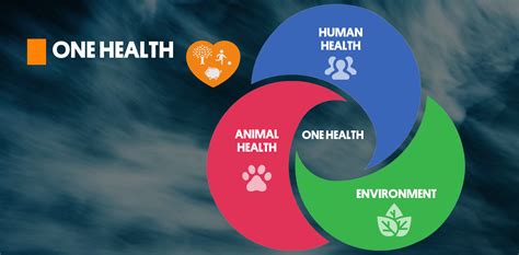 One Health How To Achieve Optimal Health For People Animals And Our