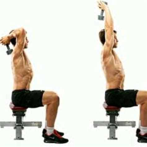 Seated Tricep Press Exercise How To Workout Trainer By Skimble