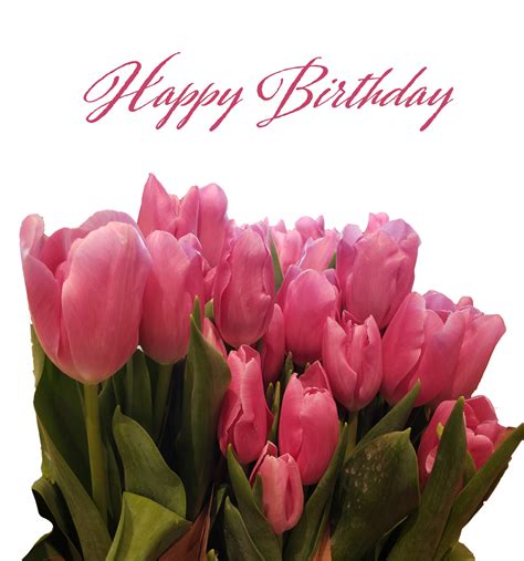 Tulip Greeting Card Birthday Free Stock Photo Public Domain Pictures