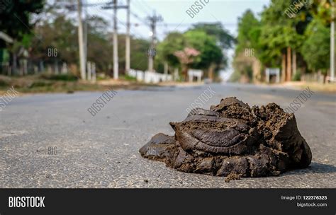 Smelly Poo On Middle Image And Photo Free Trial Bigstock