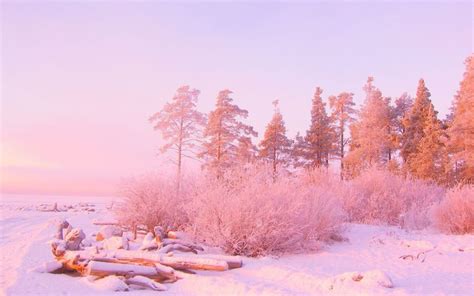 50 Winter Aesthetic Images Hd Photos 1080p