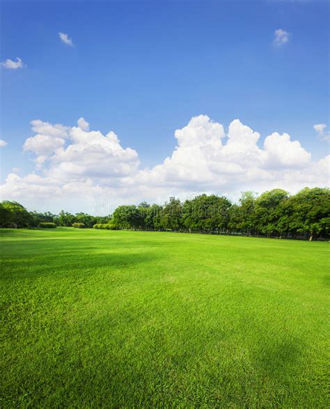 Landscape Of Grass Field And Green Environment Public Park Use A Stock