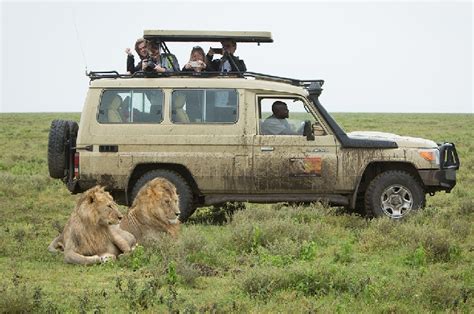 7 Day Budget Tanzania Safari Tour Praygod Africa Safaris