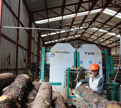 Alcanza Chihuahua La Mayor Superficie De Bosque Certificado En El País