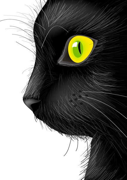 Download the free graphic resources in the form of png, eps, ai or psd. Black cat face with bright eye Free vector in Adobe Illustrator ai ( .ai ) vector illustration ...