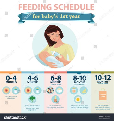 1456 Baby Feeding Infographic Images Stock Photos And Vectors