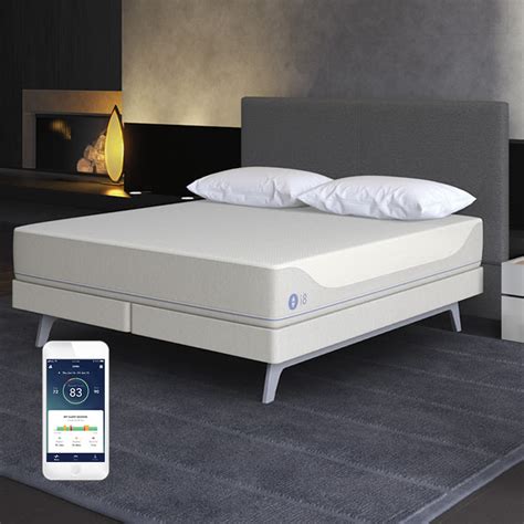 Some users say that eventually the intrusion appears. Sleep Number Bed Problems / Teqki Jlbt 2tm / This website has over 240 reviews of one of the ...